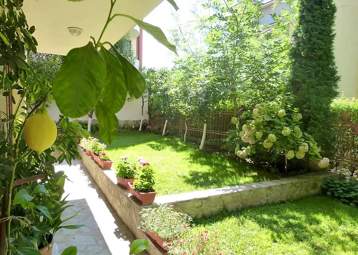 Hotel Beroe Sveti Vlas